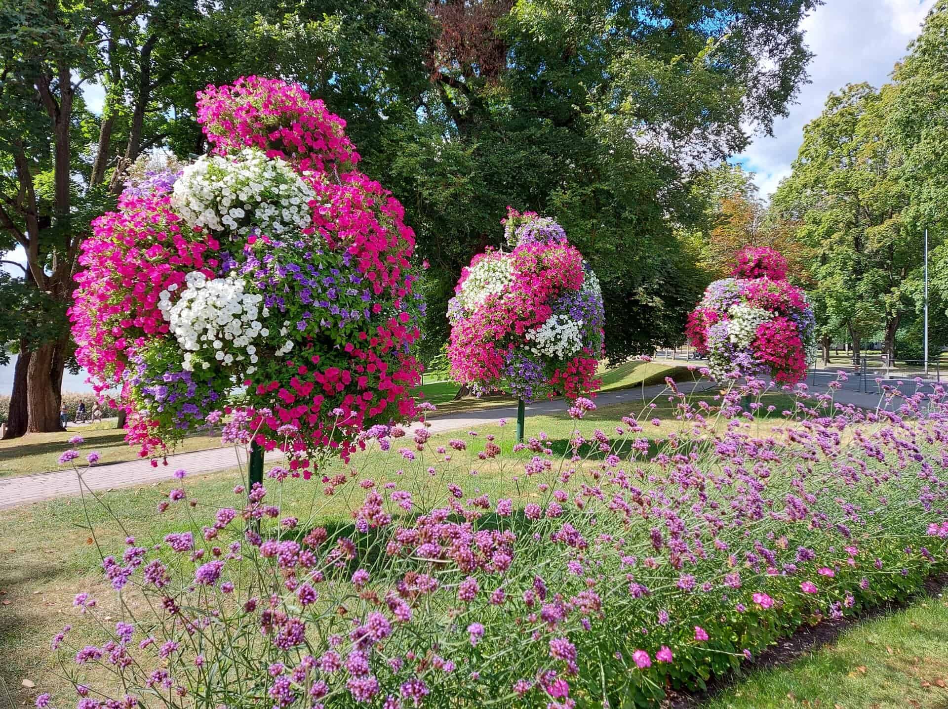 דרוסקינינקאי, ליטא